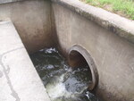 Arnold Lake Dam Crossing, Presque Isle, Maine