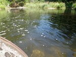 Bryant Pond Dam Crossing, Fort Fairfield, Maine