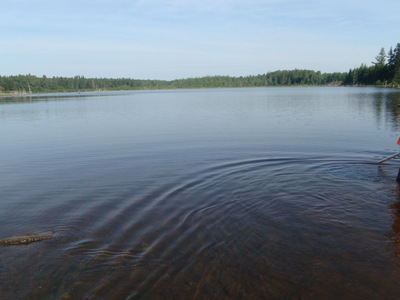 image preview