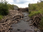 Hunnewell Lake Dam Crossing, Saint John Plt, Maine