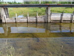Unknown Crossing, Limestone, Maine
