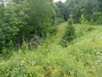 unknown Crossing, Perham, Maine