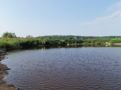 image preview