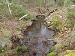 Unknown Crossing, Robbinston, Maine