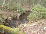 Unknown Crossing, Robbinston, Maine