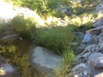 Boulter Dam Crossing, Bass Cove Creek, York, Maine
