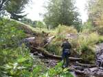 Natural Falls Crossing, Sedgeunkedunk, Orrington, Maine