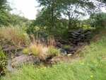 Natural Falls Crossing, Sedgeunkedunk, Orrington, Maine