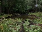 Natural Falls Crossing, Mill Creek, Orrington, Maine