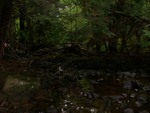 Natural Falls Crossing, Mill Creek, Orrington, Maine