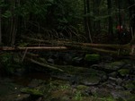 Natural Falls Crossing, Mill Creek, Orrington, Maine