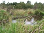 Beaver Dam Crossing, Mill Creek, Orrington, Maine