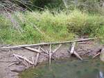 Beaver Dam Crossing, Mill Creek, Orrington, Maine
