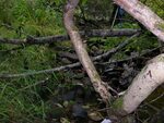 Beaver Dam Crossing, Mill Creek, Orrington, Maine