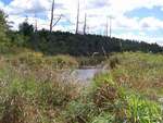 Beaver Dam Crossing, Mill Creek, Orrington, Maine