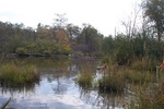Beaver Dam Crossing, Black Stream, Carmel, Maine