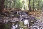Natural Falls Crossing, Felts Brook, Brewer, Maine