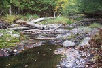 Natural Falls Crossing, Felts Brook, Brewer, Maine