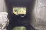 Natural Falls Crossing, Felts Brook, Brewer, Maine