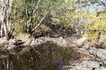 Natural Falls Crossing, Pushaw Stream, Alton, Maine