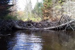 Beaver Dam Crossing, Whites Brook, Bucksport, Maine