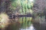 Beaver Dam Crossing, Whites Brook, Bucksport, Maine