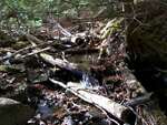 Debris Jam Crossing, Mill, Dedham, Maine