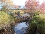 Beaver Dam Crossing, Mill Stream, Holden, Maine