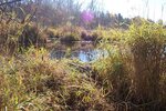 Beaver Dam Crossing, Cove Brook, Winterport, Maine