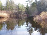 Natural Falls Crossing, Harvey Stream, Carmel, Maine