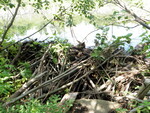 Beaver Dam Crossing, Unnamed Waterbody, Orland, Maine