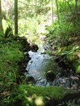 Natural Falls Crossing, Unnamed Waterbody, Phillips, Maine