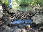 Beaver Dam Crossing, McLeary Stream, Strong, Maine