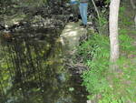Beaver Dam Crossing, McLeary Stream, Strong, Maine