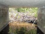 Beaver Dam Crossing, Unnamed Waterbody, Mercer, Maine