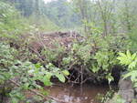 Beaver Dam Crossing, Witham Brook, Norridgewock, Maine