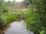 Beaver Dam Crossing, Witham Brook, Norridgewock, Maine