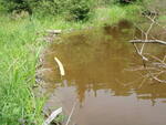 Beaver Dam Crossing, Witham Brook, Norridgewock, Maine