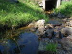 Debris Jam Crossing, Unnamed Waterbody, Farmington, Maine