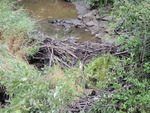 Beaver Dam Crossing, cascade brook, Farmington, Maine