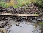 Beaver Dam Crossing, cascade brook, Farmington, Maine