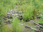 Beaver Dam Crossing, Unnamed Waterbody, Vienna, Maine