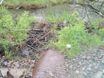 Beaver Dam Crossing, Unnamed Waterbody, Chesterville, Maine