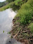 Beaver Dam Crossing, coubers brook, Wilton, Maine