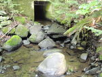 Debris Jam Crossing, Unnamed Waterbody, Wilton, Maine