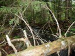 Natural Falls Crossing, Unnamed Waterbody, Carrabassett Valley, Maine