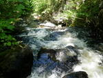 Natural Falls Crossing, Tim Brook, Tim Pond Twp, Maine