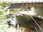 Natural Falls Crossing, Sanborn River, Greenwood, Maine
