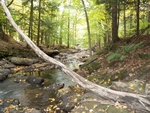 Natural Falls Crossing, Bobbin Mill Brook, Auburn, Maine