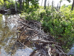 Beaver Dam Crossing, T14 R9 WELS, Maine